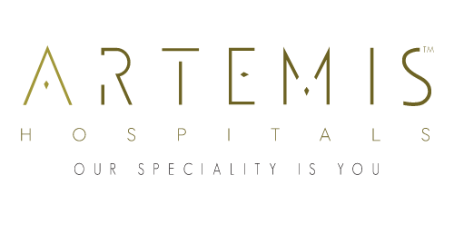 ARTEMIS HOSPITAL